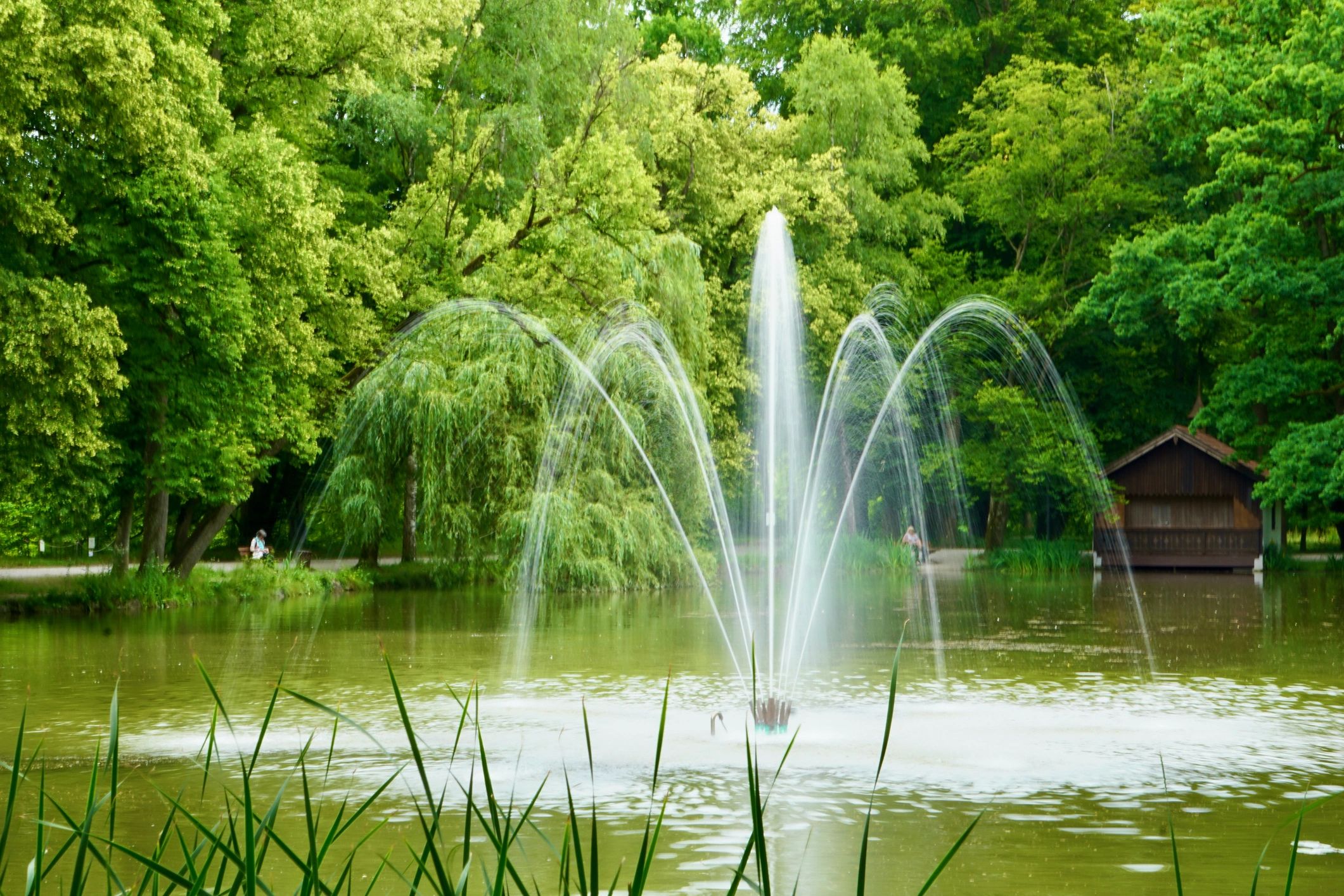 Fountain spraying in a park lake
