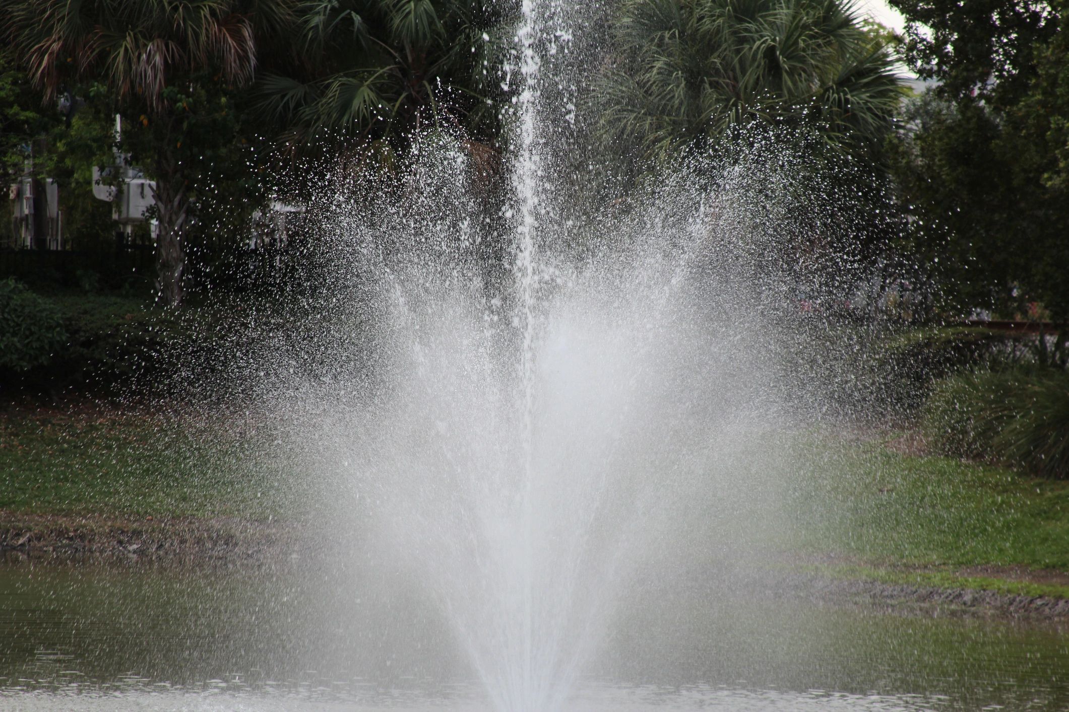 Water fountain spraying in a lake