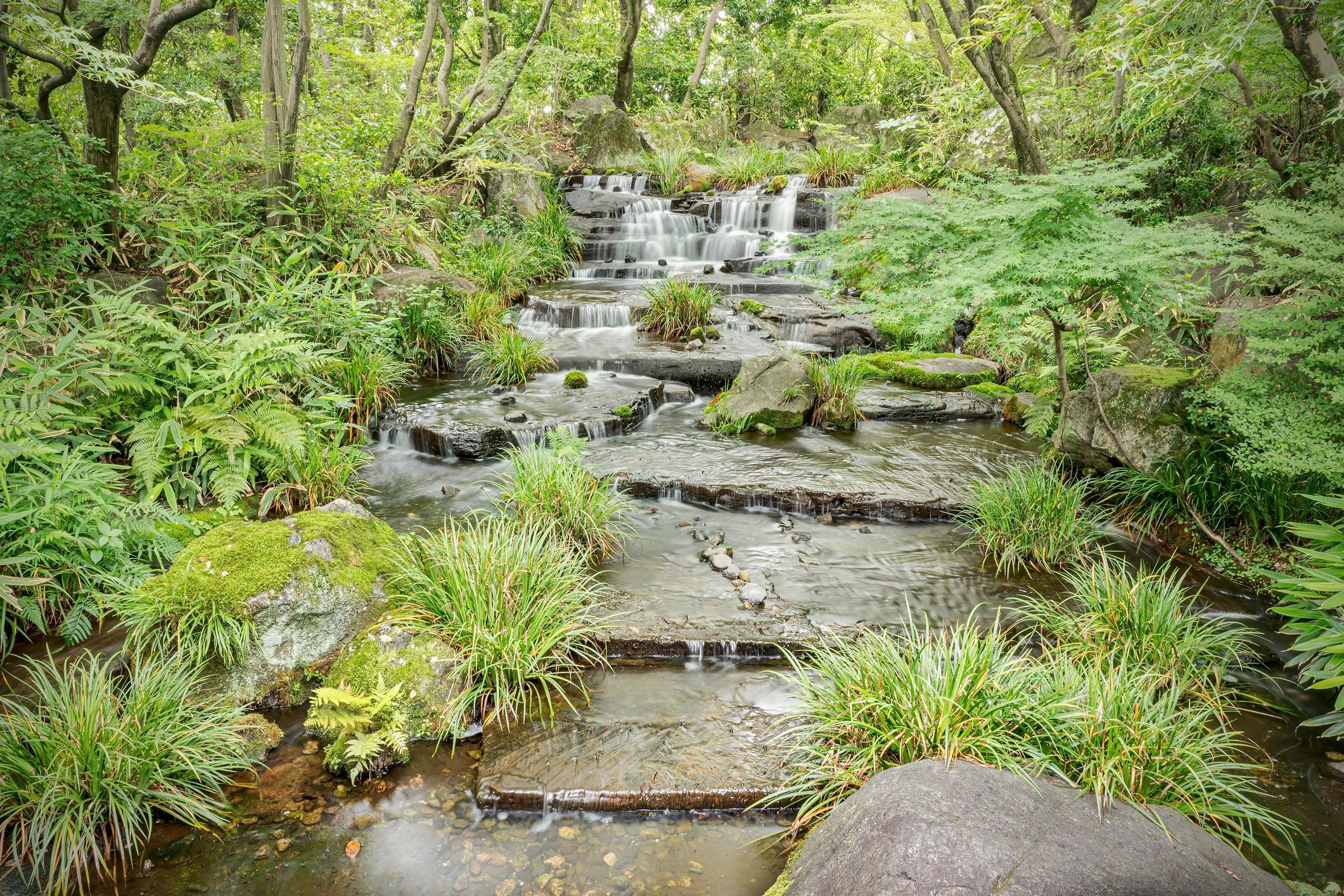 Cascading water over rocks