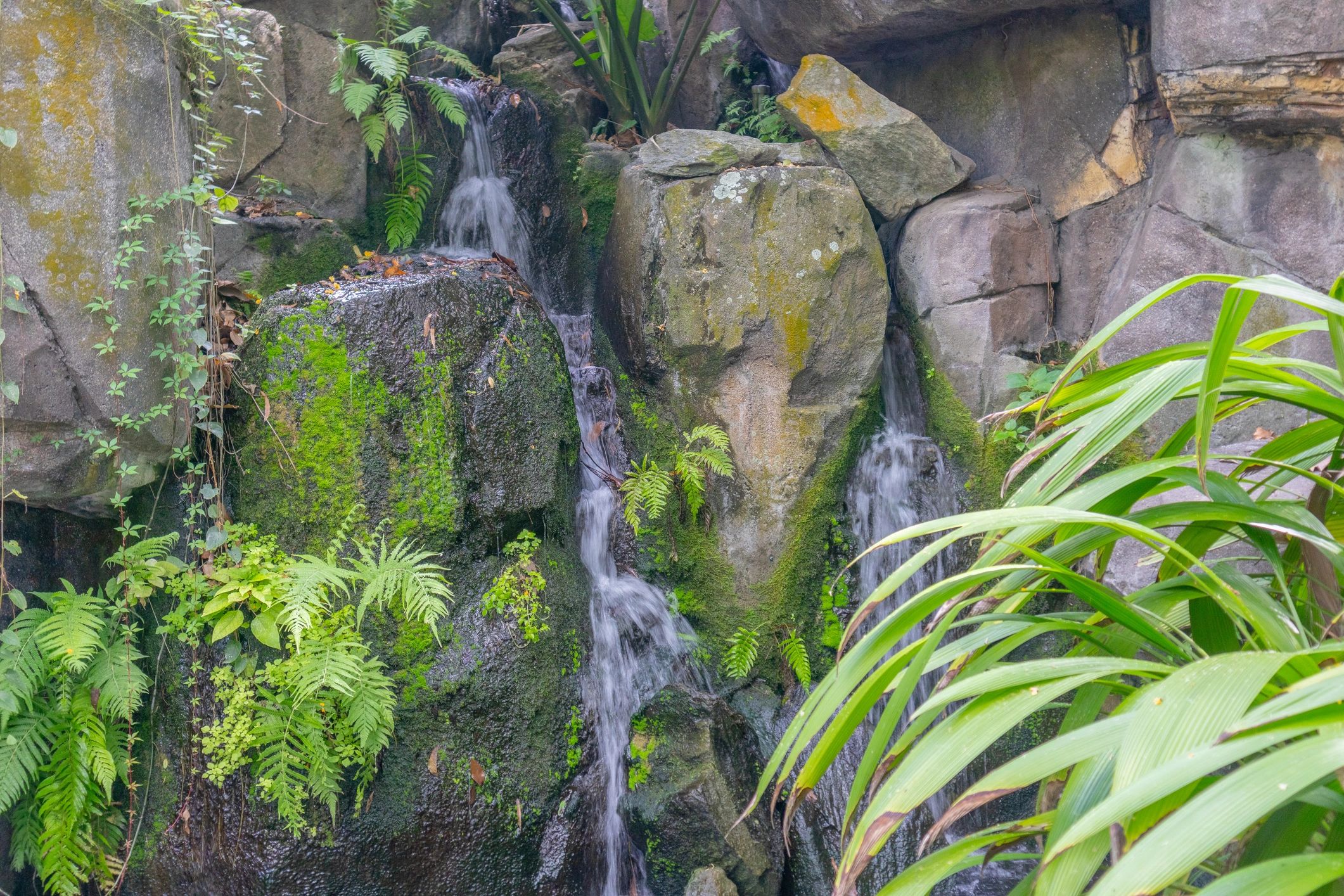 Flowing water over rocks in a garden water feature