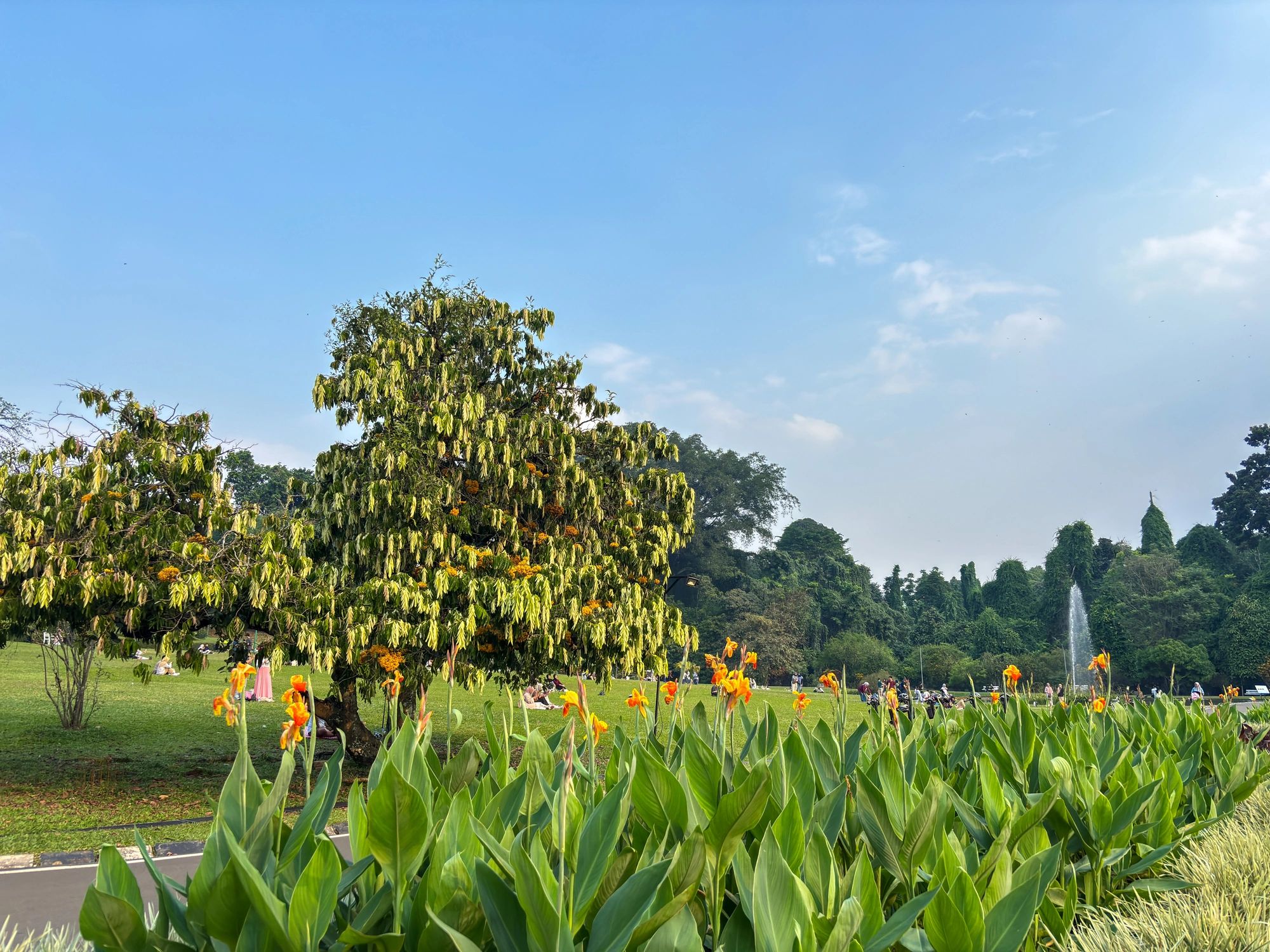 Landscape with a distant fountain in a green park