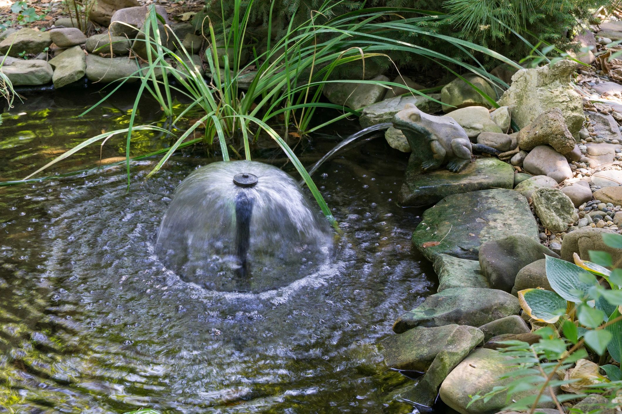 Small garden pond fountain bubbling